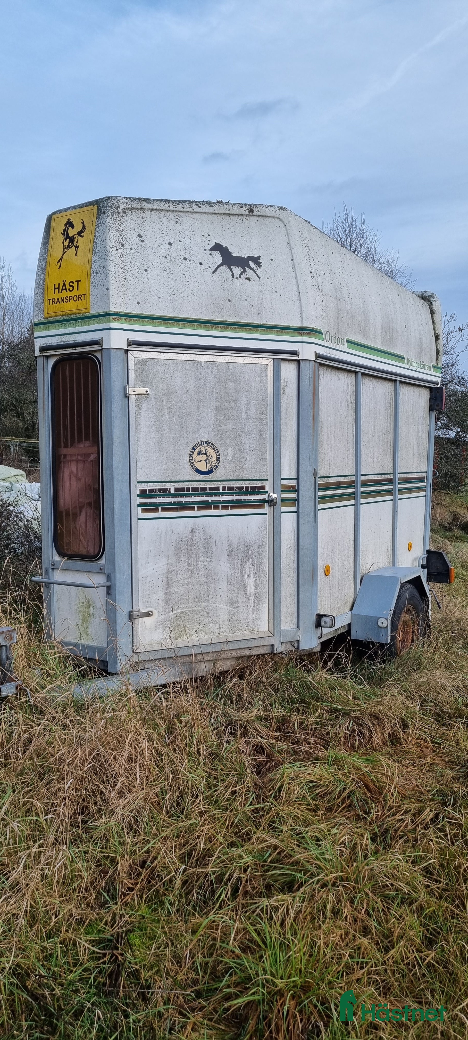 Hästtransporter  fordon & transport till salu: Blivande pärla i Ärla - Annons 21