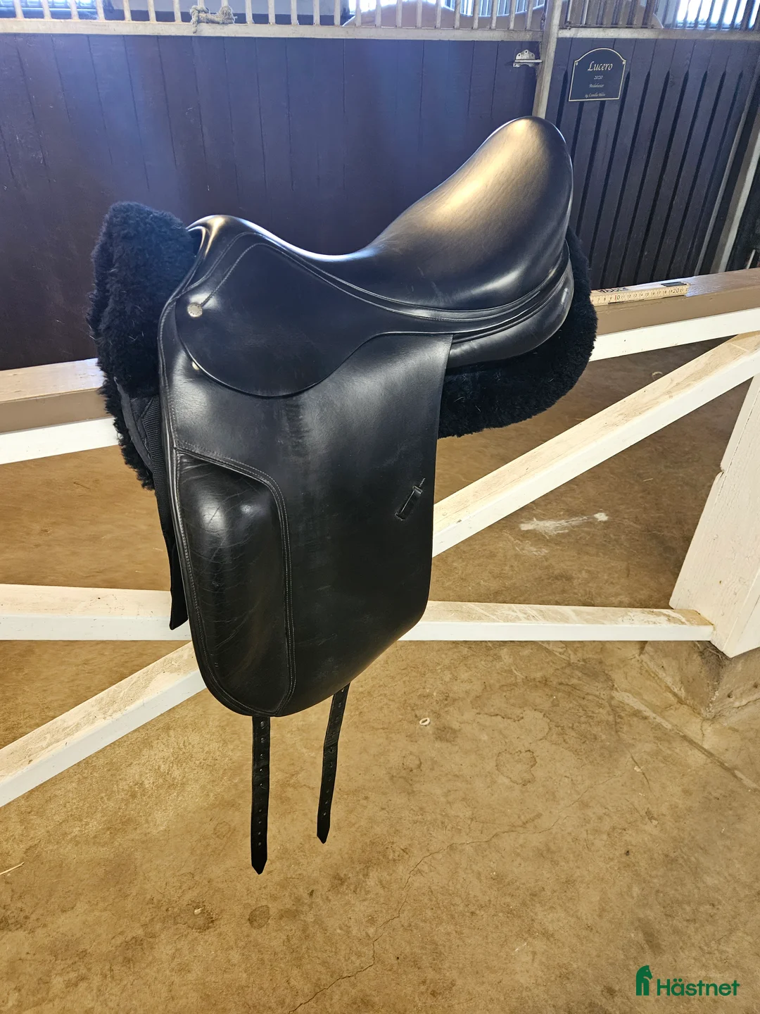 Sadlar hästutrustning till salu: Superpris på kvalitetssadel! - Annons 2