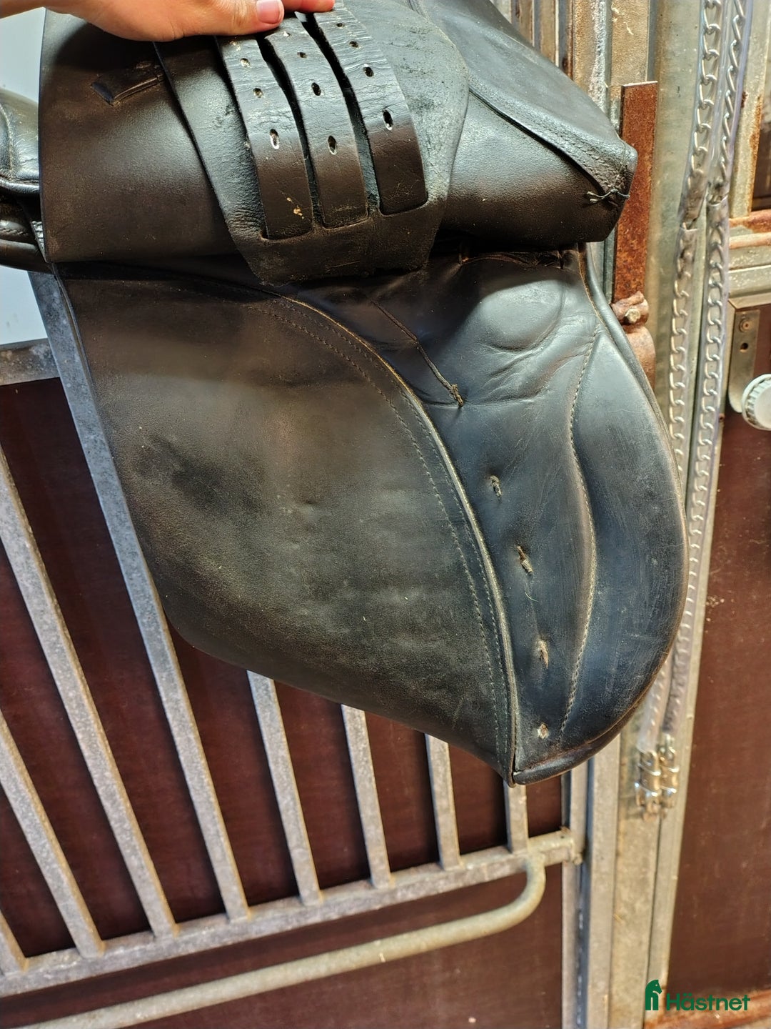 Sadlar hästutrustning till salu: Islands sadel  i Gamleby - Annons 6