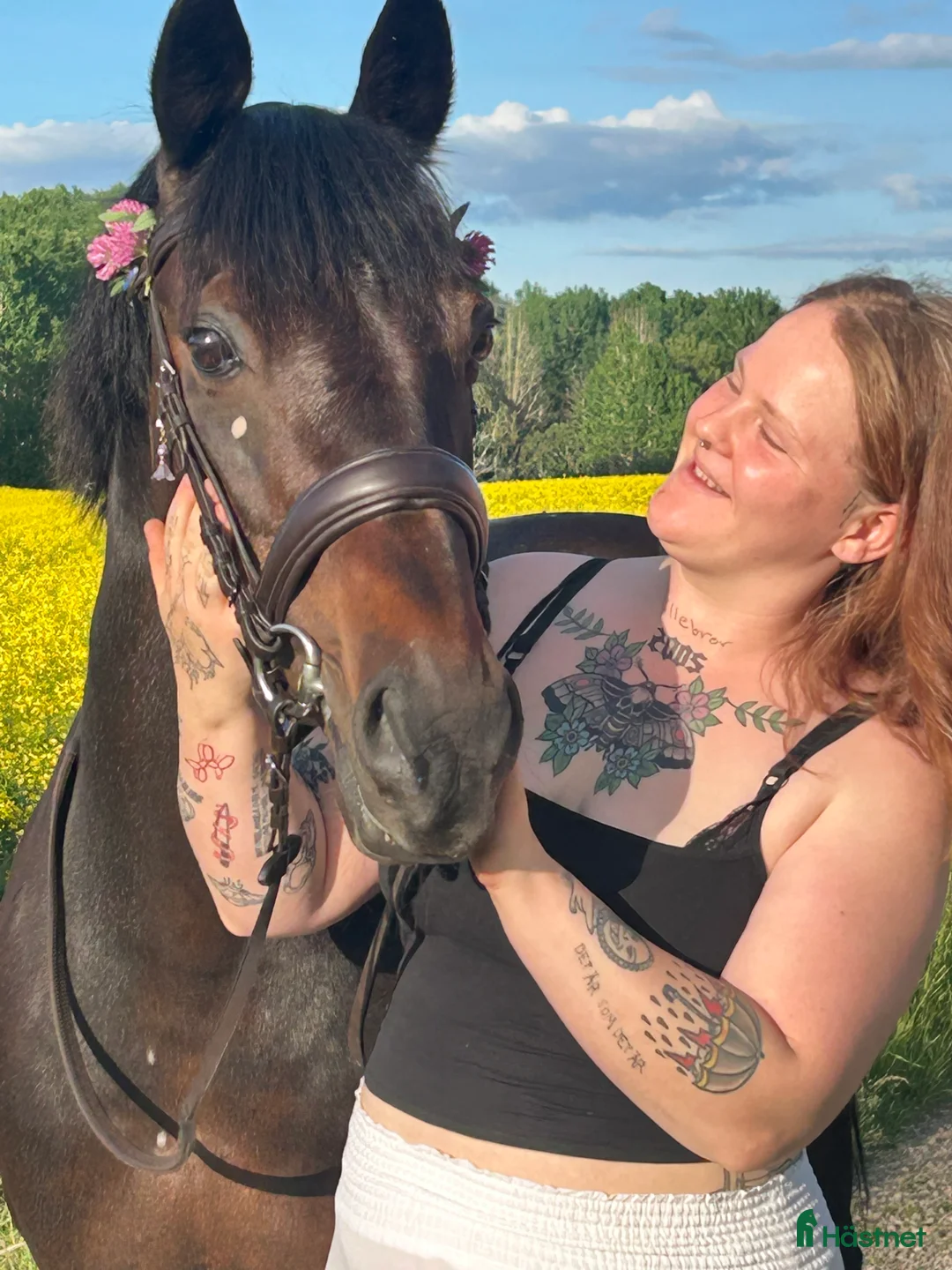 Sällskap hästar till salu: Världens mysigaste farbror söker nytt hem i Stavsjö - Annons 1