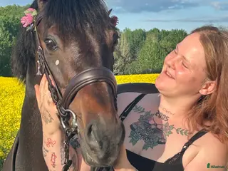 hästar Världens mysigaste farbror söker nytt hem i Stavsjö - Annons 12