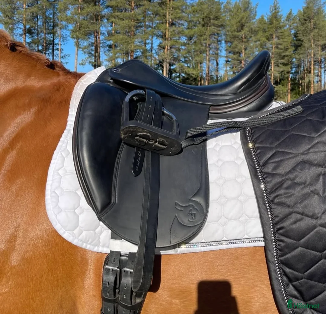 Sadlar hästutrustning till salu: Erreplus Adelinde - Annons 8