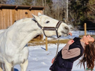 medryttarhäst sökes: Ansvarsfull medryttare söker häst i Strängnäs - Annons 15