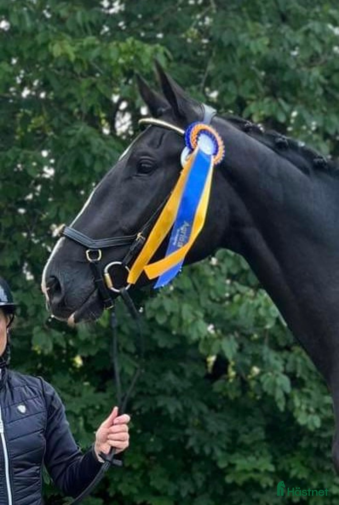 Galleribild {{count}}