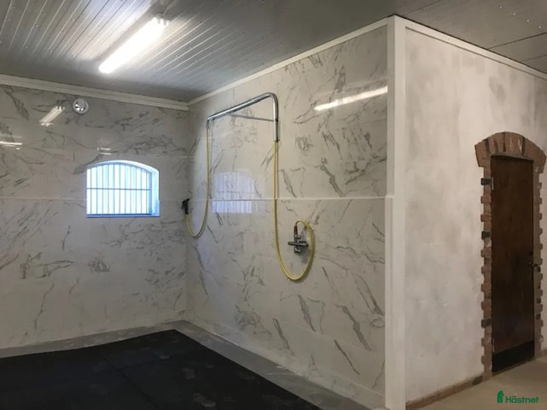  stallplats finnes: Stallplats och lösdrift  i Fjärås - Annons 2