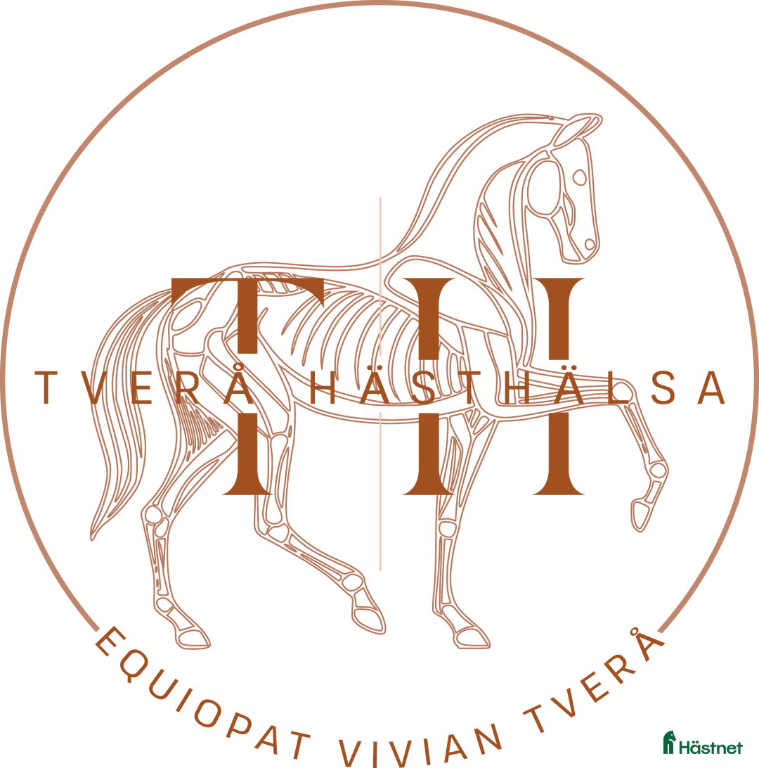 Sadlar hästutrustning till salu: Intressekoll Erreplus Freestyle  - Annons 1