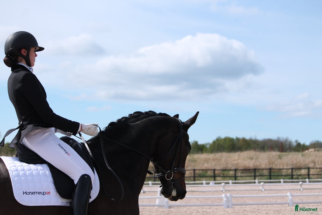  hästservice finnes: Plats för inridning, utbildning & elever i Göteborg - Annons 5