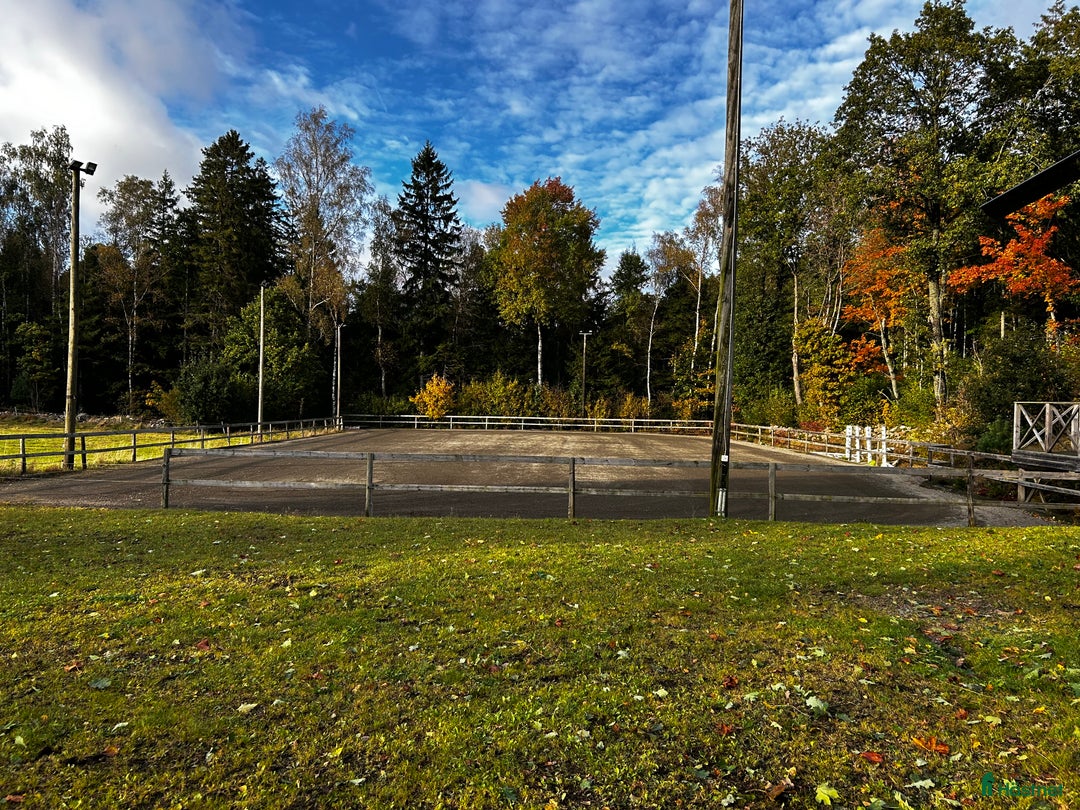  stallplats finnes: Lösdrift plats finnes i Varberg - Annons 2