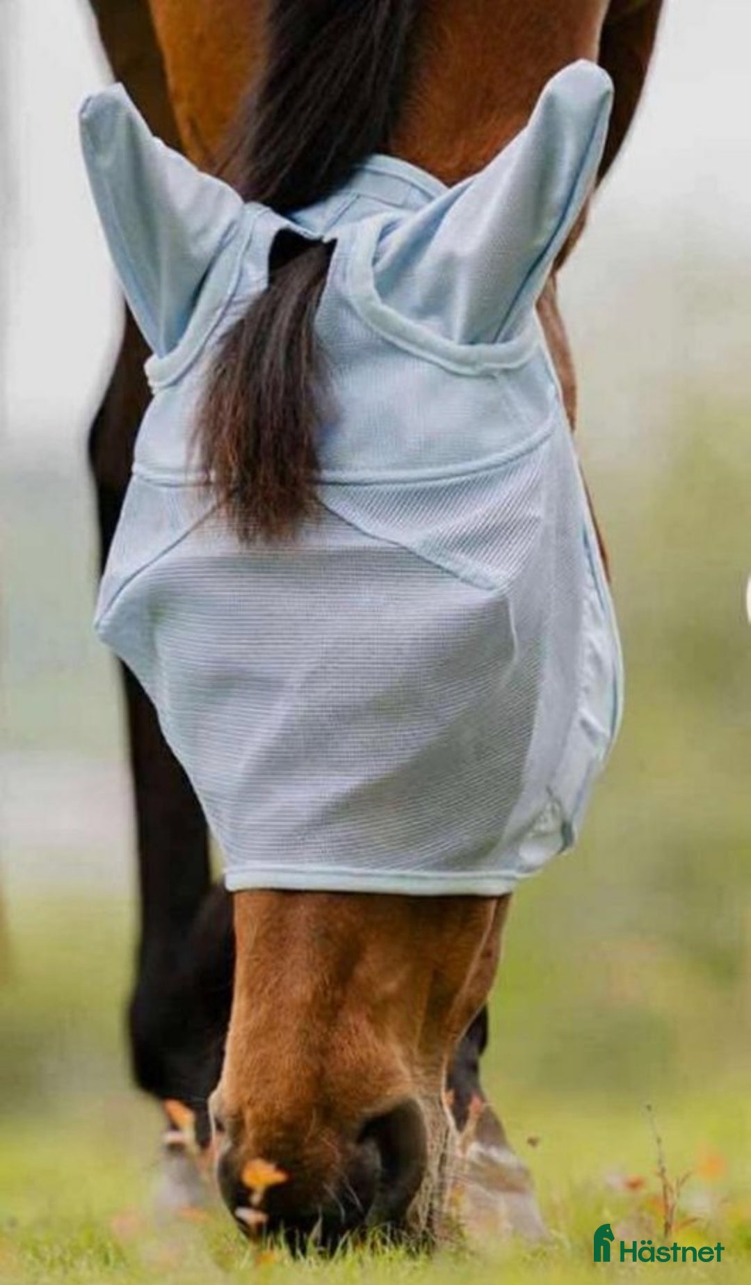 Övrig Hästutrustning hästutrustning till salu: Flughuvor olika modeller i Kristianstad - Annons 1