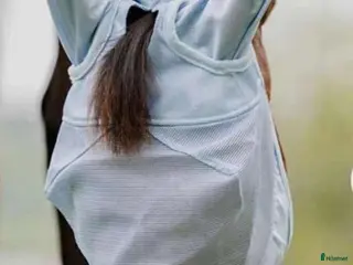 Övrig Hästutrustning hästutrustning Flughuvor olika modeller i Kristianstad - Annons 9