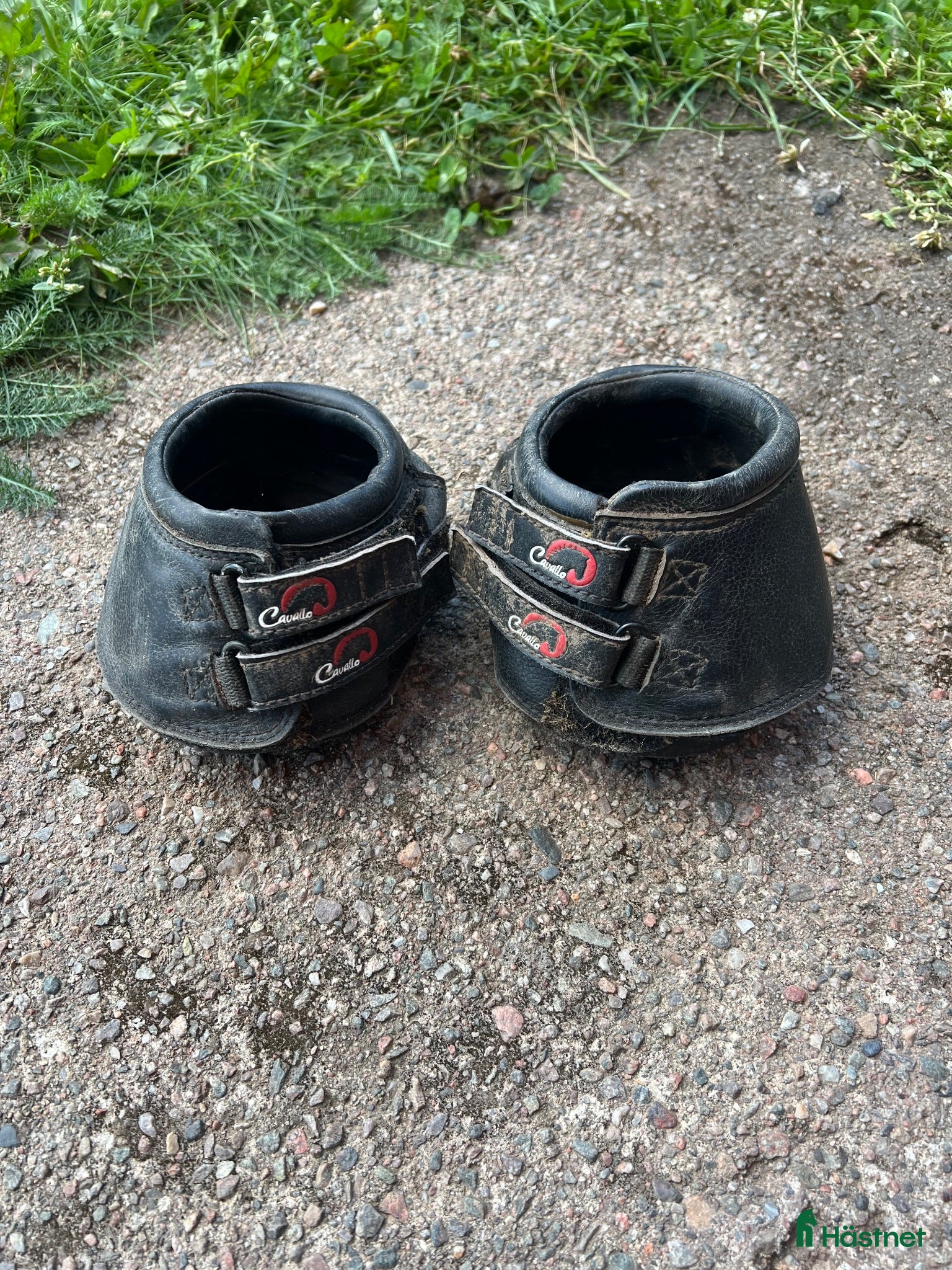 Övrig Hästutrustning hästutrustning Cavallo boots  - Annons 2