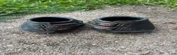 Övrig Hästutrustning hästutrustning till salu: Cavallo boots  - Annons 1