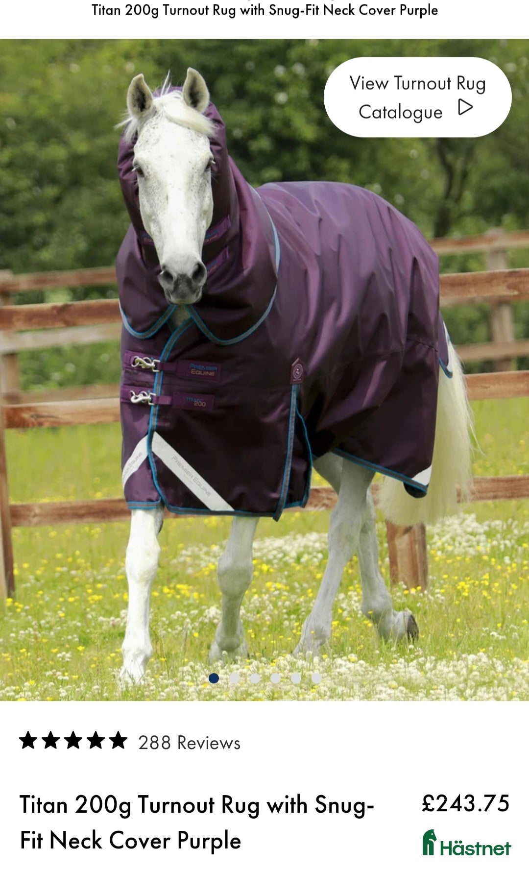 Täcken hästutrustning till salu: Premier Equine Titan 200g strl 6.3/140-145cm  i Tranås - Annons 12