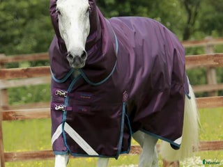Täcken hästutrustning till salu: Premier Equine Titan 200g strl 6.3/140-145cm i Tranås - Annons 6