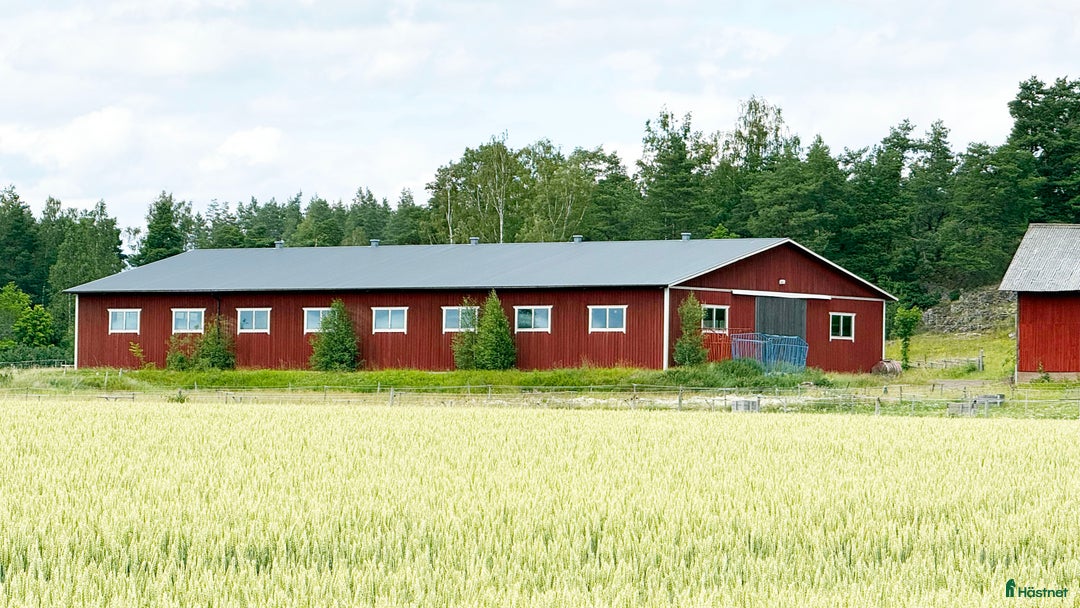  stallplats finnes: Lediga stallplatser Hollstad i Norrköping - Bild 7