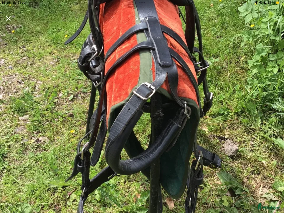 Körselar körning till salu: Bröstsele Shetland  i Rångedala - Annons 2