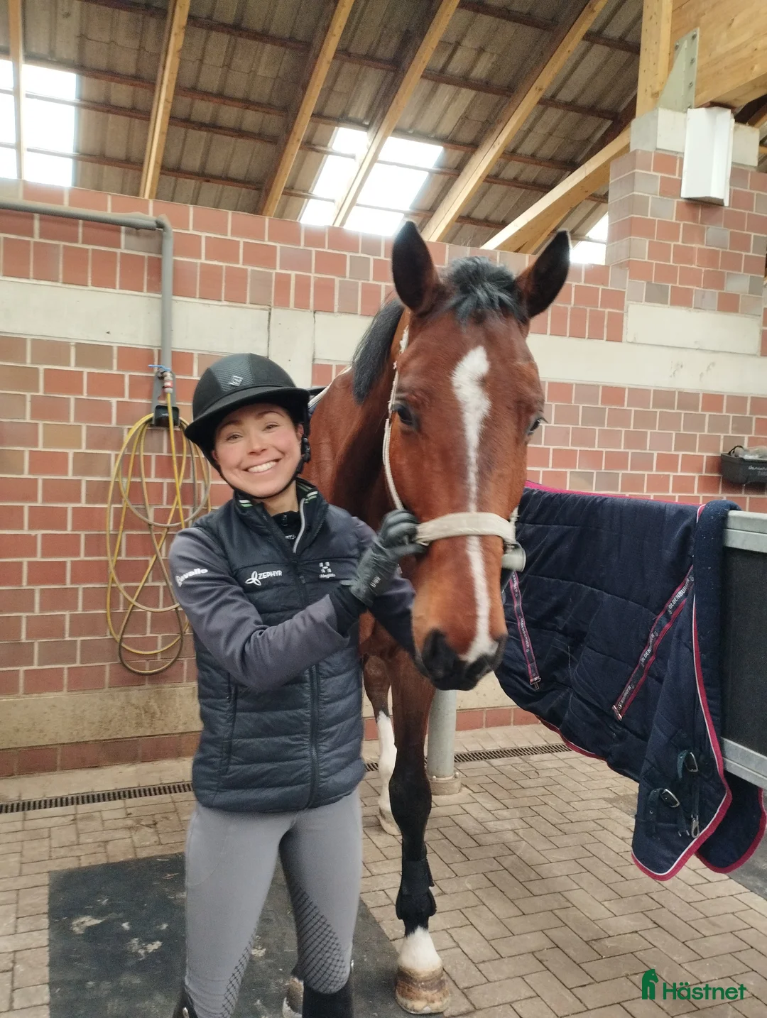  hästservice finnes: Horse Holistic - Hästutbildning - Annons 7