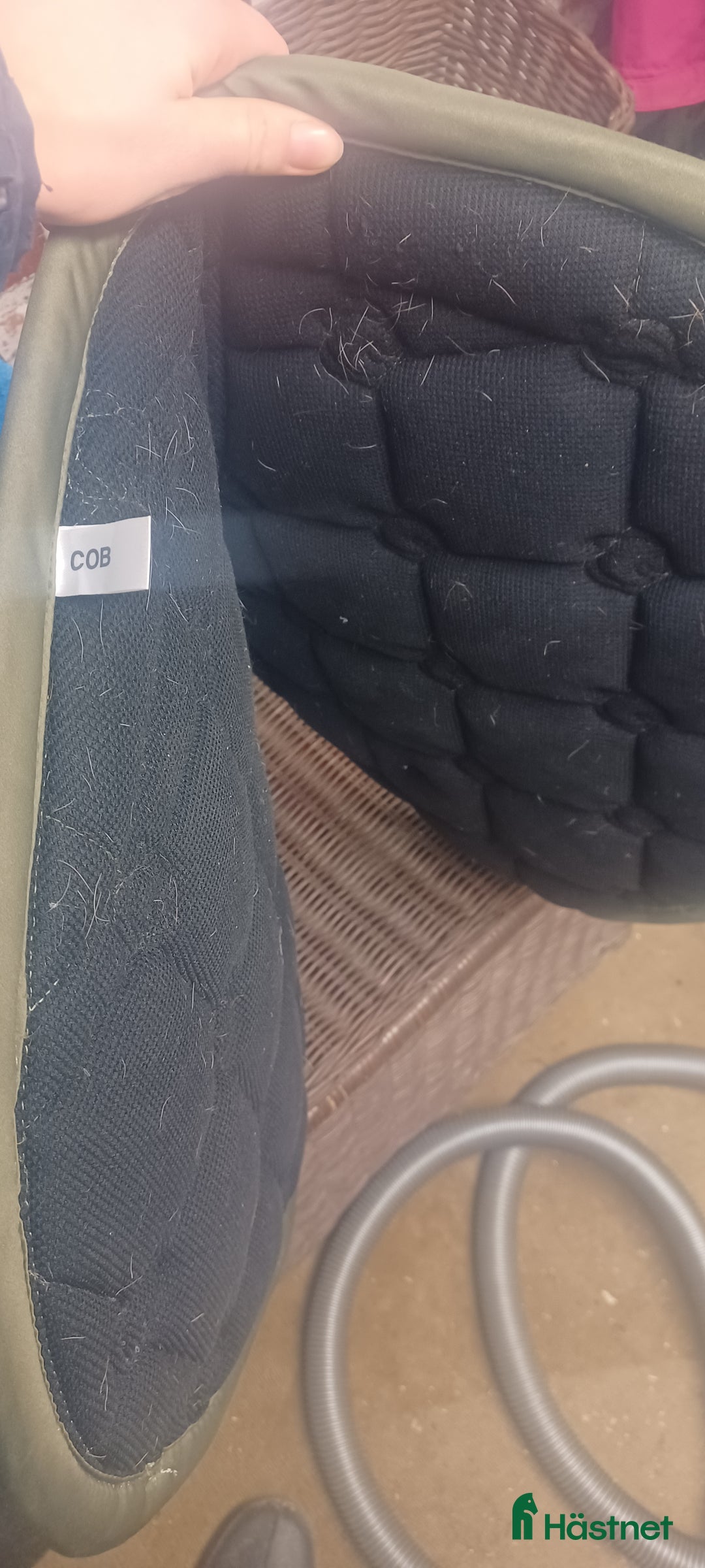 Schabrak & Vojlockar hästutrustning till salu: PS Schabrak i Skultuna - Annons 2