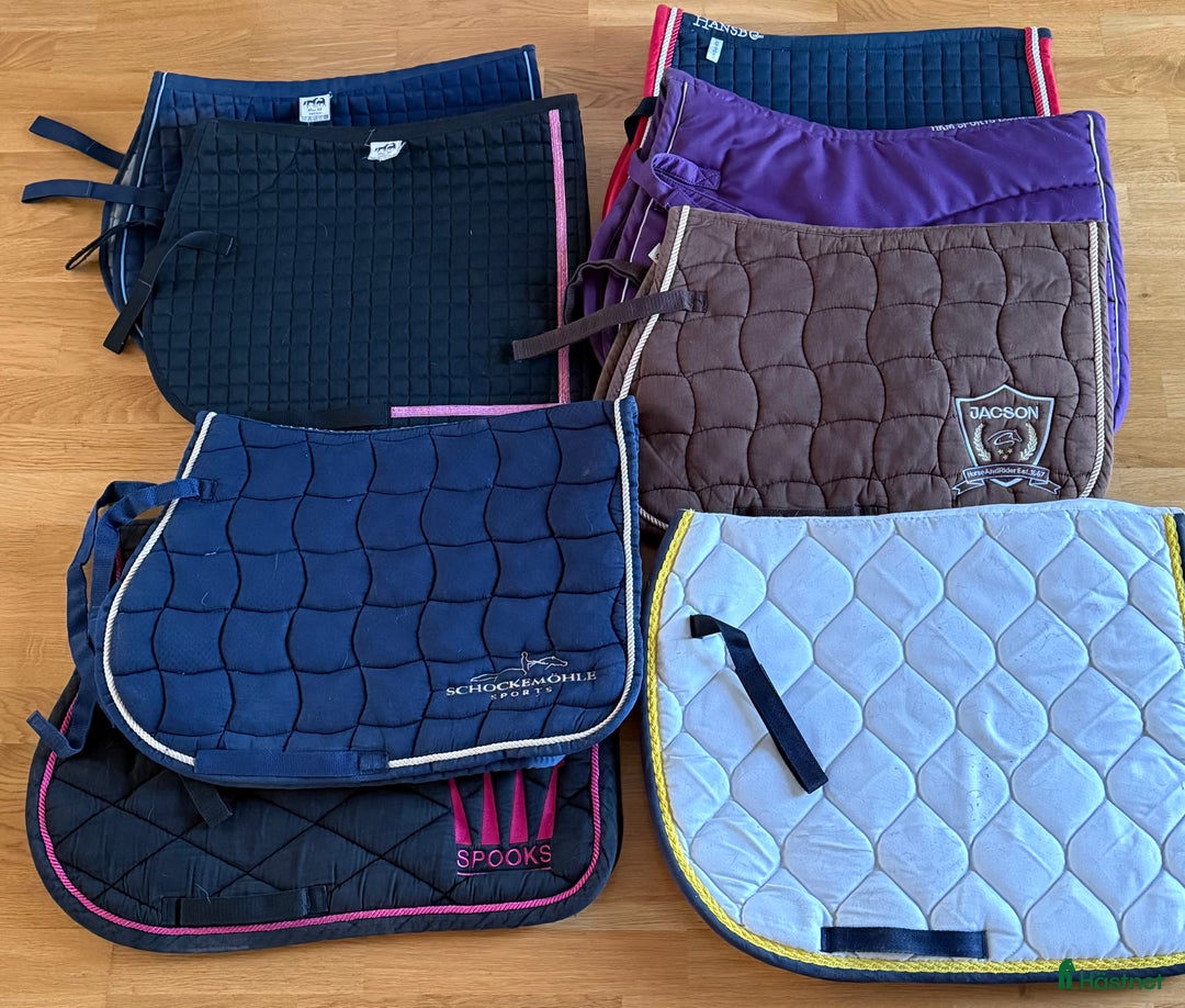 Schabrak & Vojlockar hästutrustning till salu: Full och Ponny 50kr st i Vikingstad - Annons 4