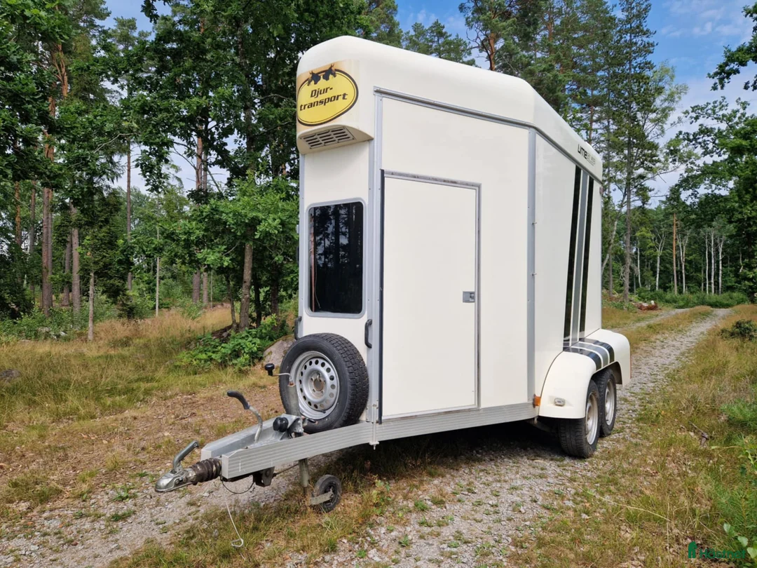 Hästtransporter  fordon & transport till salu: Umesläp BA45 - Annons 1