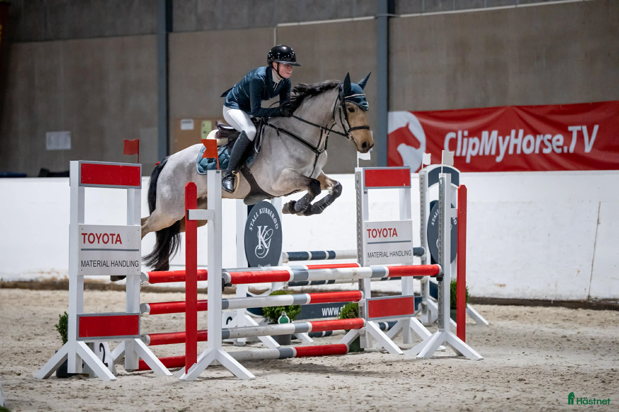  hästar Nydelig og snill ponni søker godt hjem - Annons 3