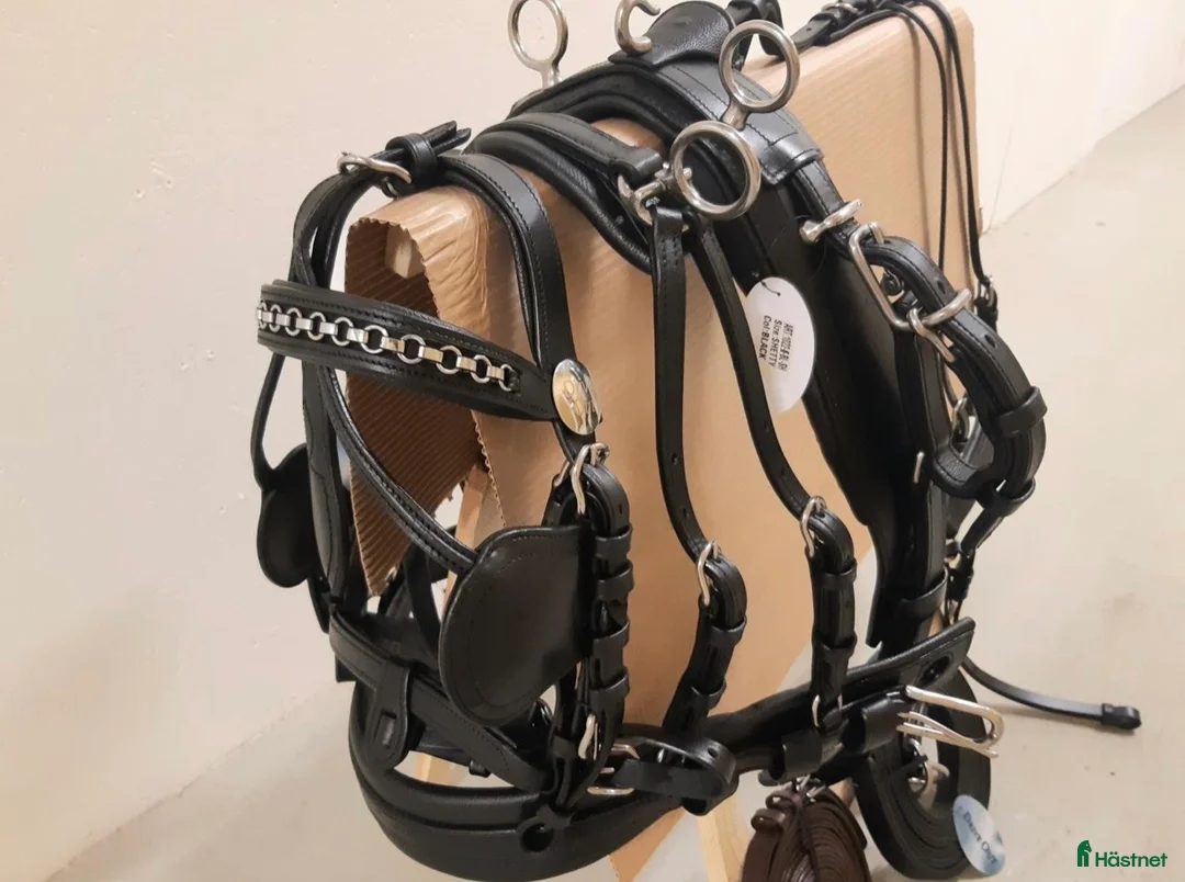 Körselar körning till salu: Drive Out Duo Plus Sele Shettis svart  - Annons 6