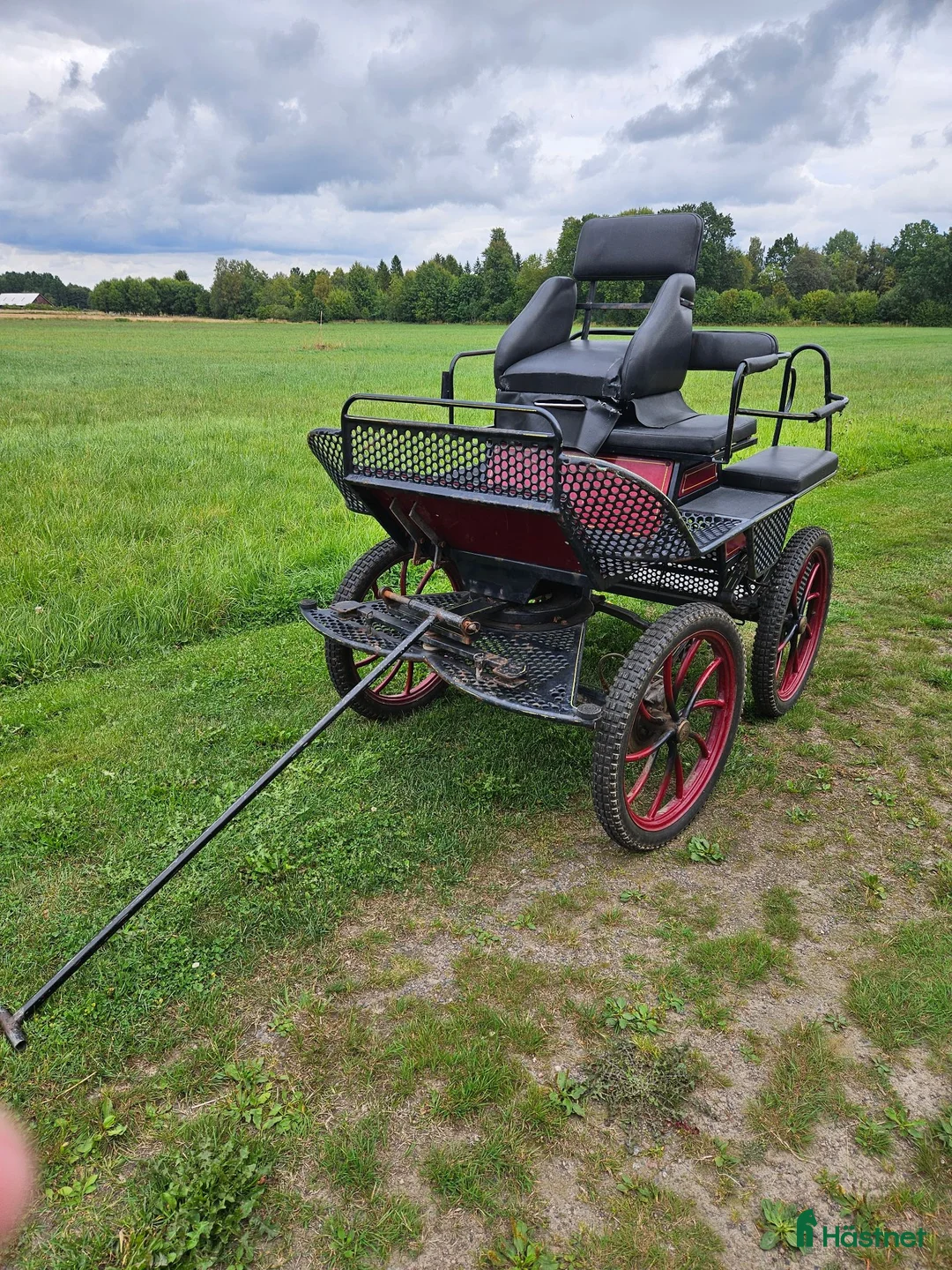 Körvagnar körning till salu: Recreatiosvagn  - Annons 2