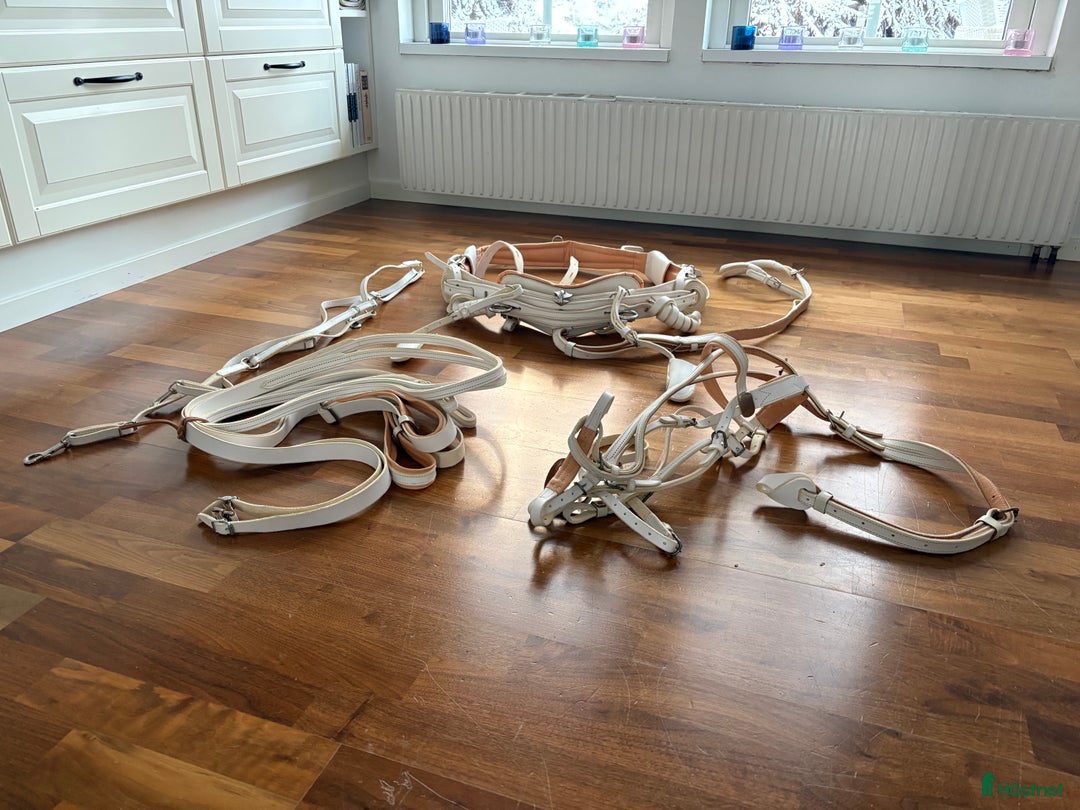 Travselar trav till salu: Nytt travsele i Västerås - Annons 3