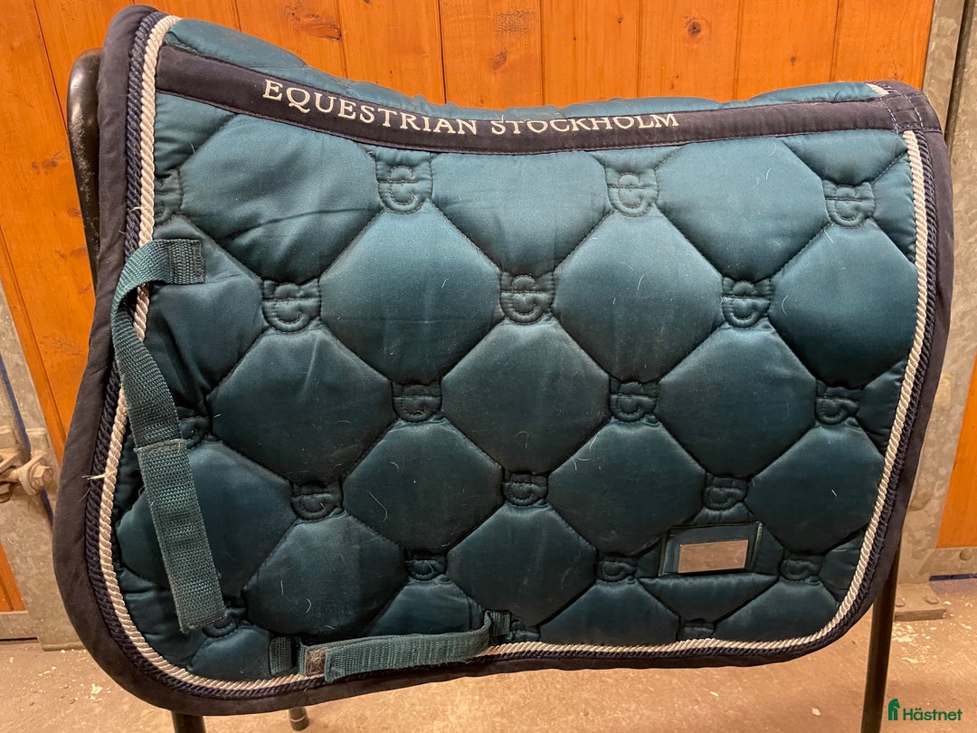 Schabrak & Vojlockar hästutrustning till salu: Märkes schack! i Axvall - Annons 2