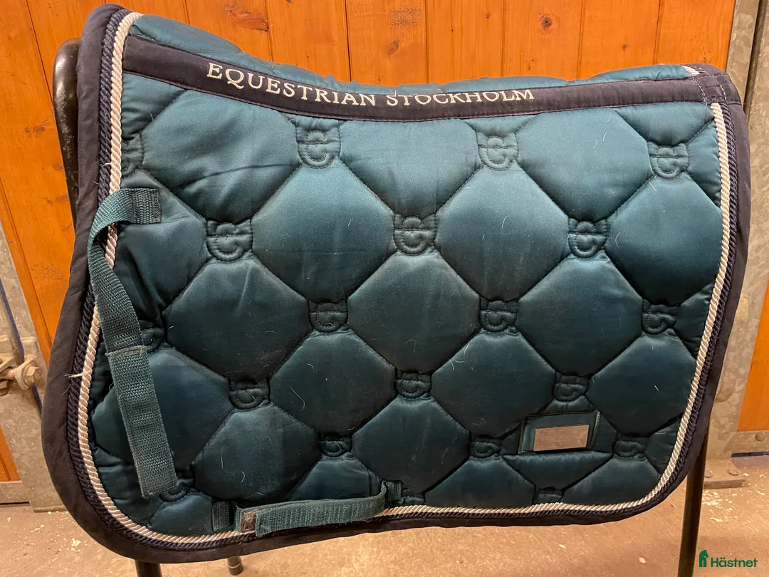 Schabrak & Vojlockar hästutrustning till salu: Märkes schack! i Axvall - Annons 2