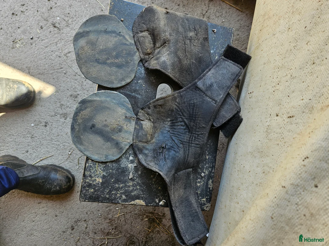 Övrig Hästutrustning hästutrustning till salu: Scootboots regular i Karlsborg - Annons 6