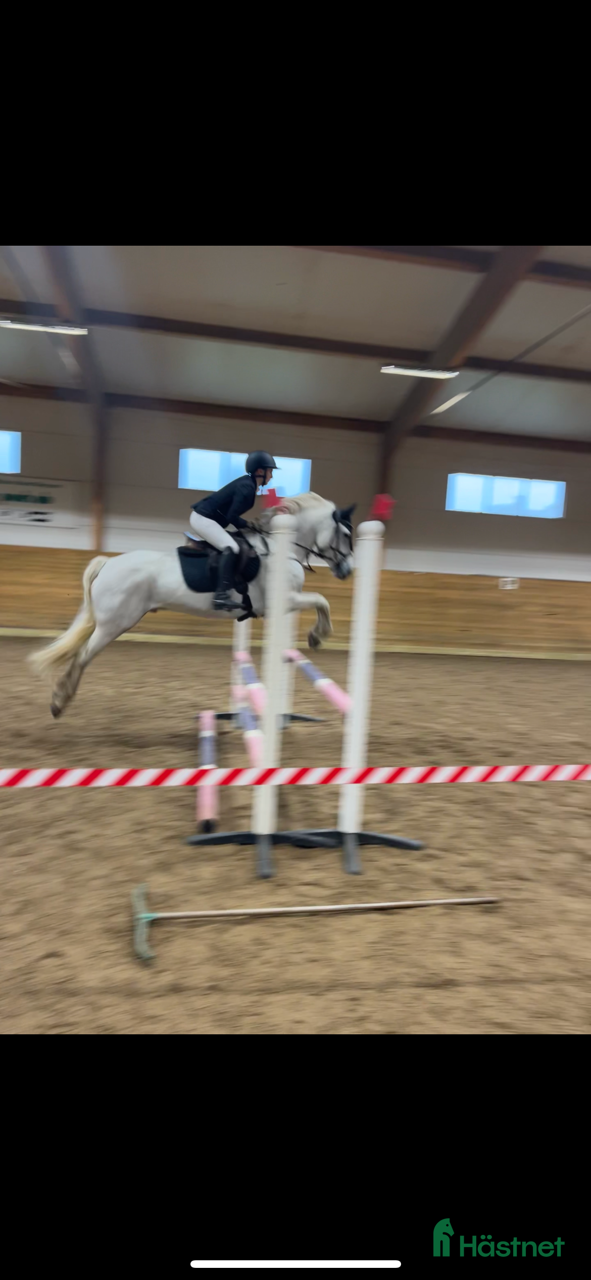  stallplats Behöver du hjälp med att sälja din häst?  i Uddevalla - Annons 10