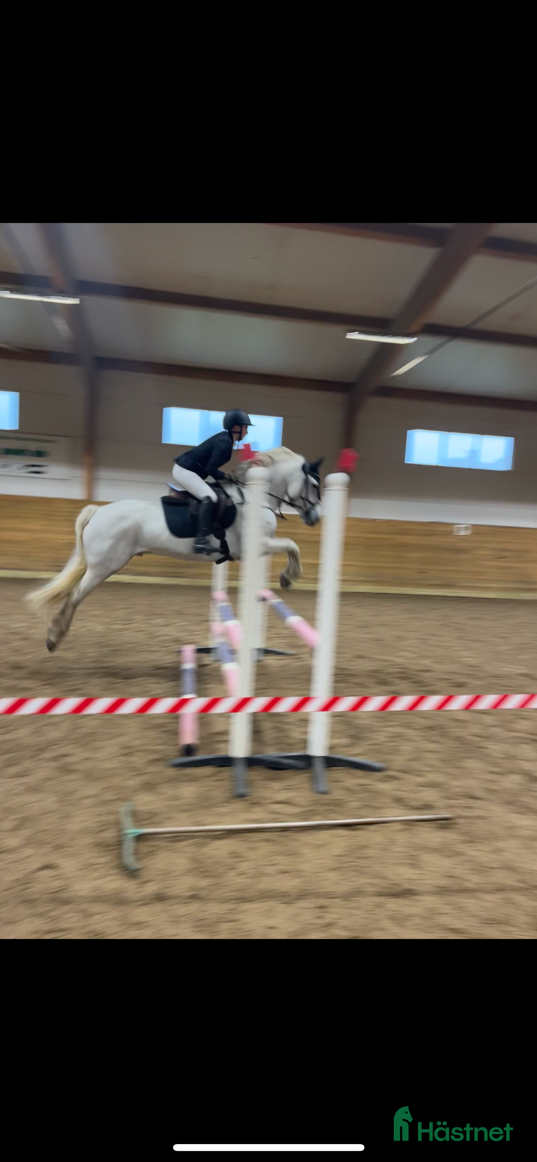  stallplats finnes: Behöver du hjälp med att sälja din häst?  i Uddevalla - Annons 1