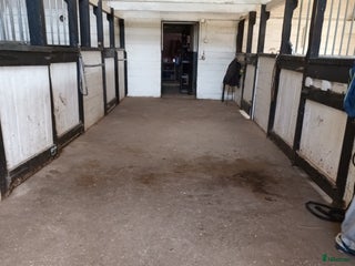 stallplats Ledig boxplats en mil söder om Norrtälje i Norrtälje - Annons 7