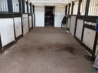 stallplats Ledig boxplats en mil söder om Norrtälje i Norrtälje - Annons 15