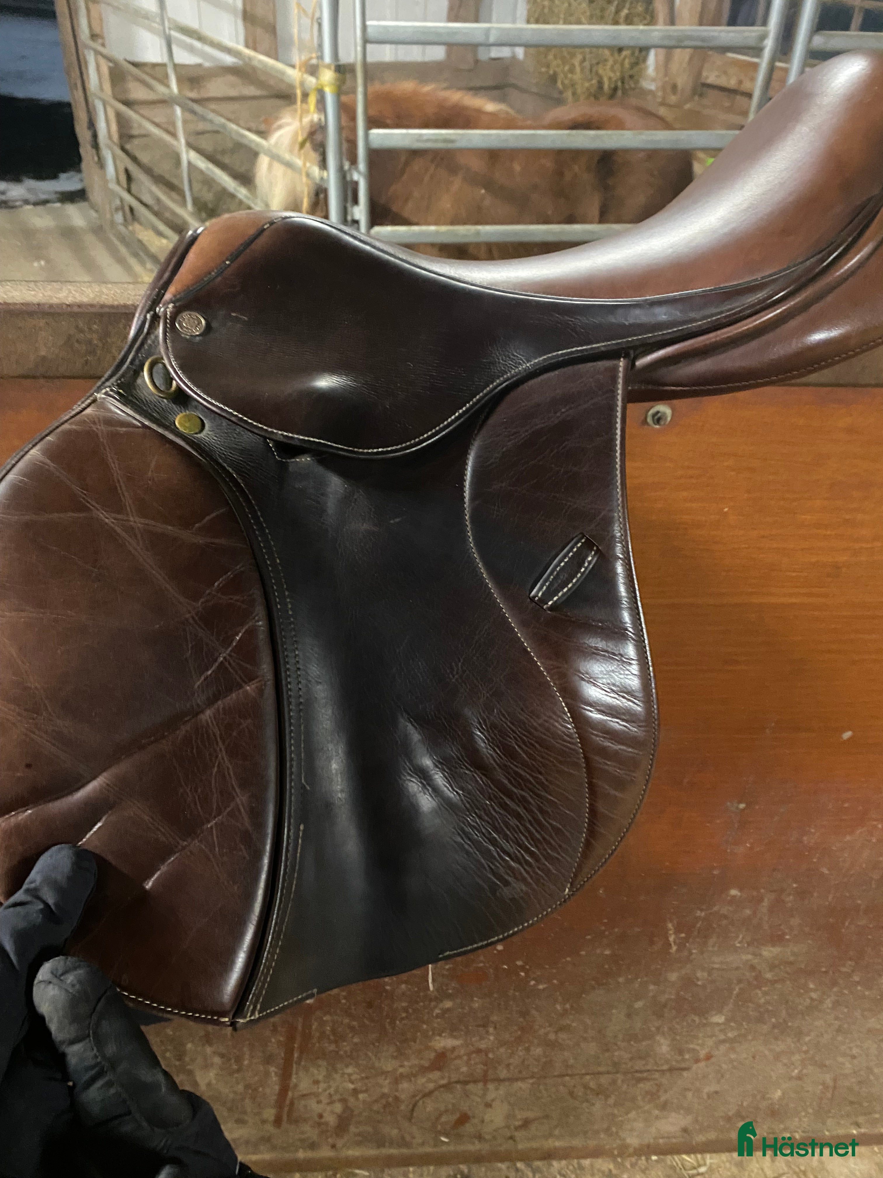 Sadlar hästutrustning Gold Medal Hoppsadel  i Lekeryd - Annons 4