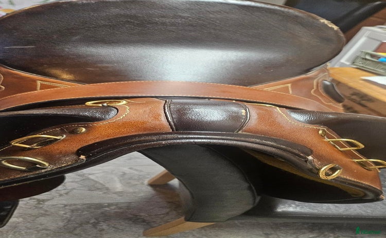 Sadlar hästutrustning till salu i Skurup - Annons 8