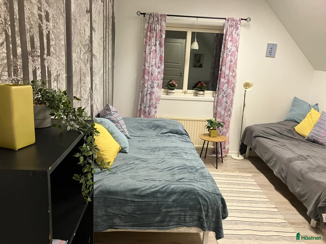  hästjobb finnes: Praktikplats finns  i Skara - Annons 3