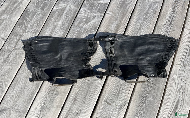 Övrig Ryttarutrustning ryttarutrustning till salu i Habo - Annons 16
