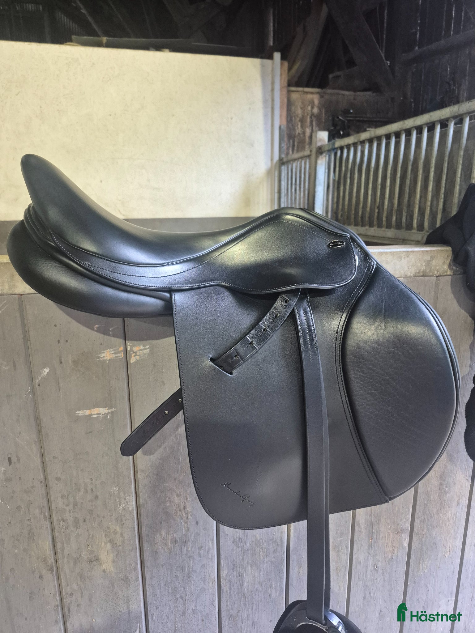 Sadlar hästutrustning Santa cruz celine - Annons 6
