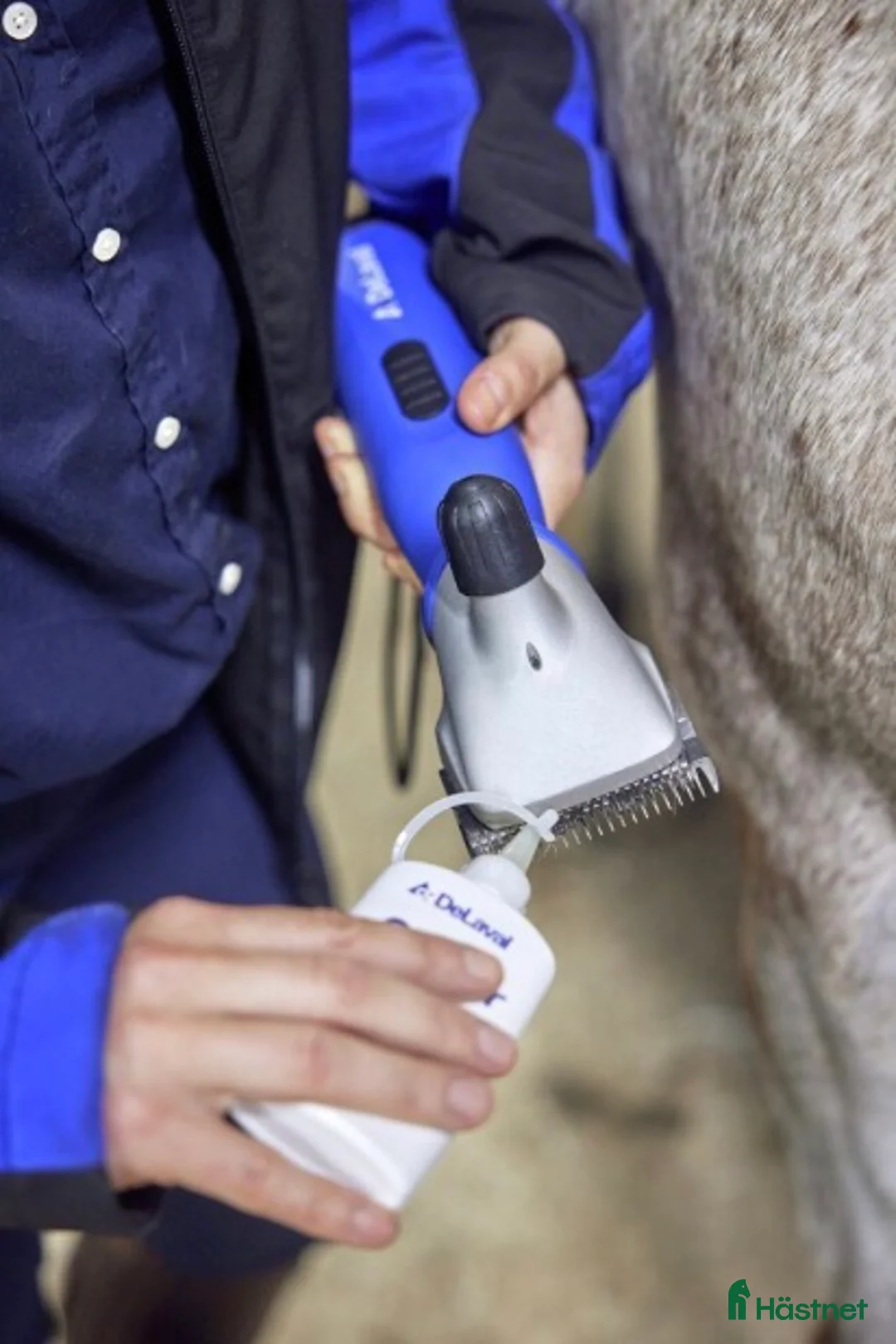 Övrig Hästutrustning hästutrustning till salu: Klippmaskin DeLaval sladdlös - Annons 4