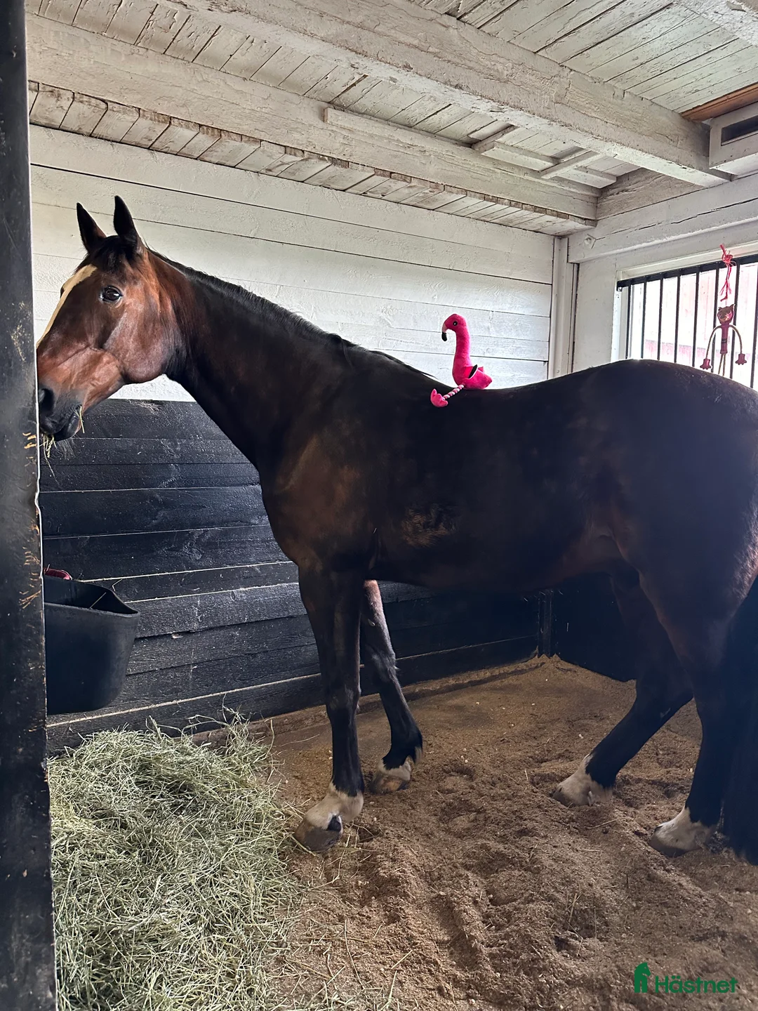 Galleribild {{count}}