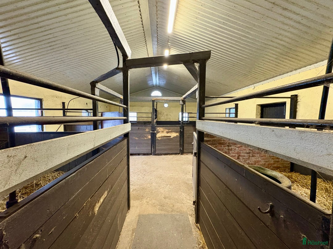  lägenhet till salu: Uthyres! Lägenhet med möjlighet till boxplats  i Vollsjö - Annons 11