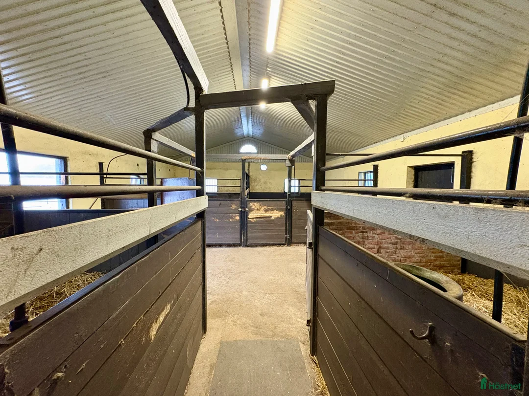  lägenhet till salu: Uthyres! Lägenhet med möjlighet till boxplats  i Vollsjö - Annons 11