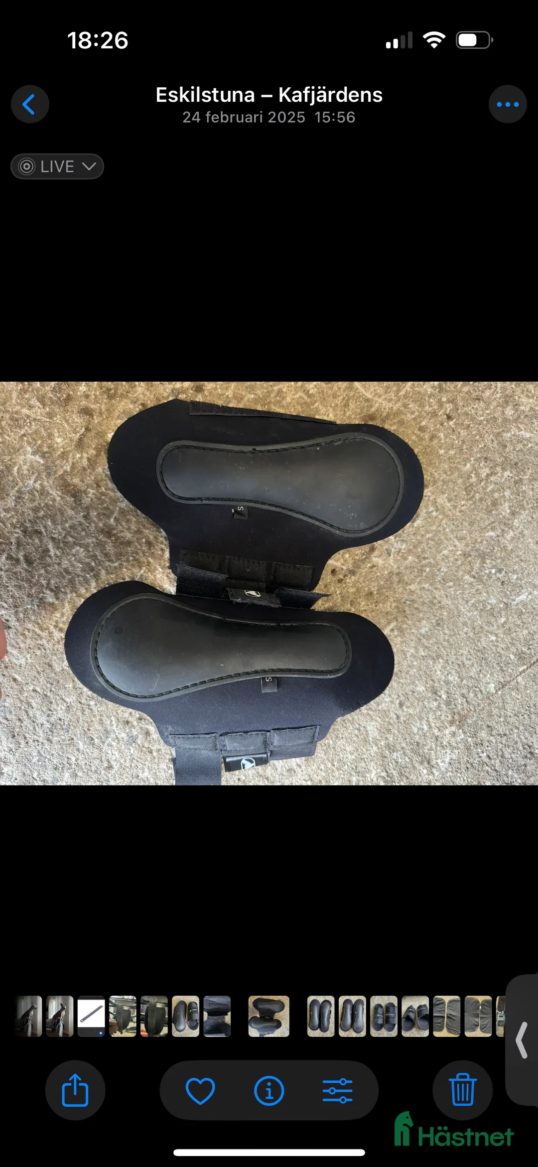 Benskydd hästutrustning till salu: Senskydd Finntack i Eskilstuna - Annons 3