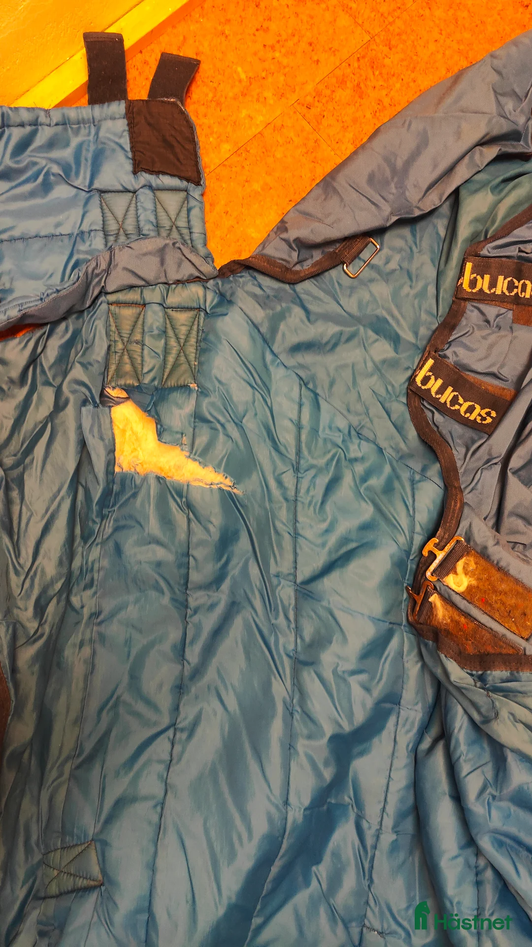 Täcken hästutrustning till salu: 150 g utetäcke Bucas stl 155 i Södertälje - Annons 3