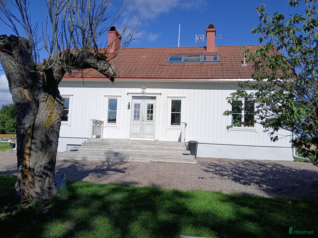  stallplats finnes: Boxar och lösdrift i Enköping - Annons 4