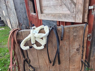 Övrig utrustning övrig utrustning till salu: Stallrensning i Kallinge - Annons 6