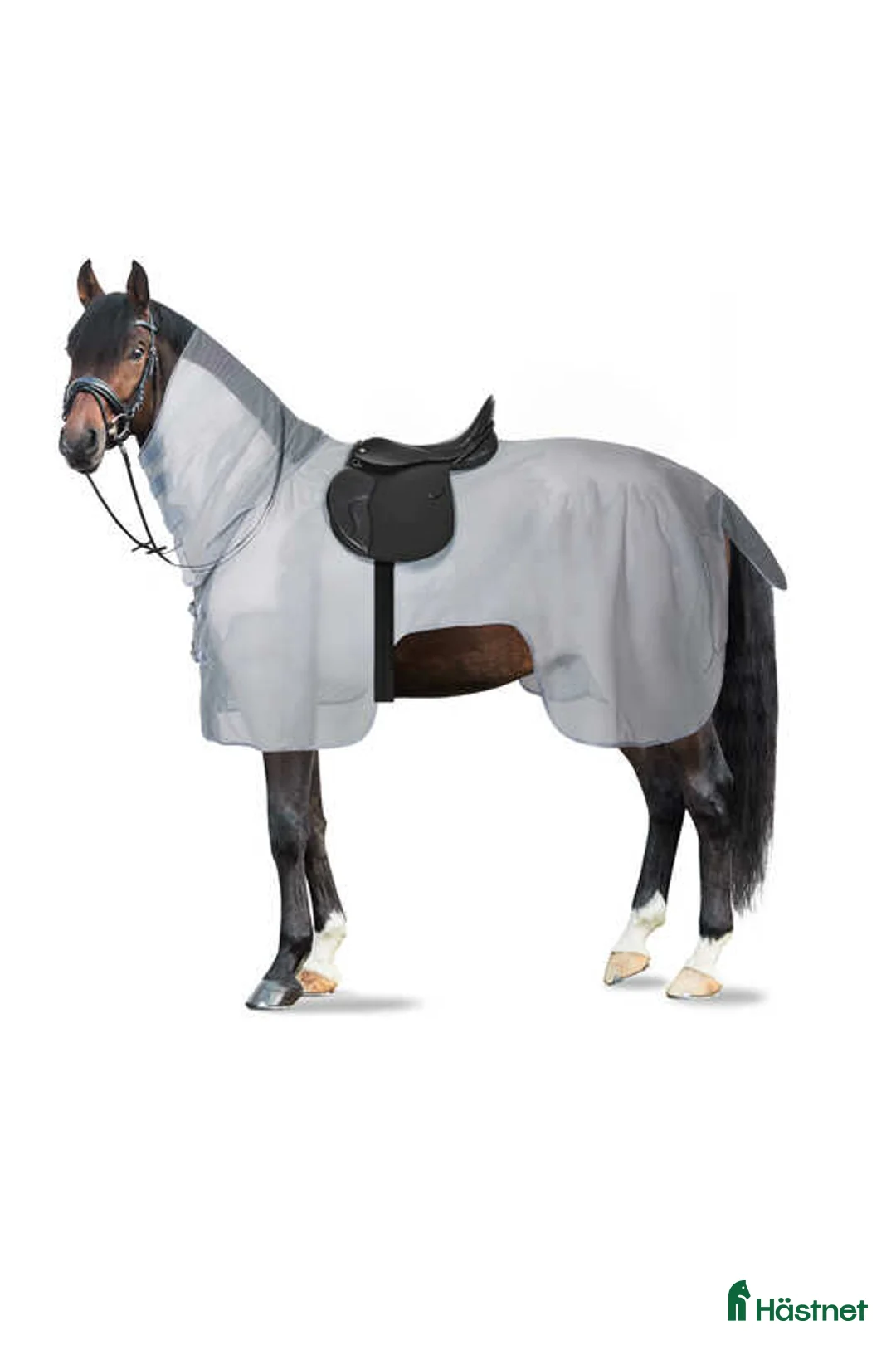 Täcken hästutrustning till salu: Nytt ridflugtäcke 145 cm i Hallsberg - Annons 1