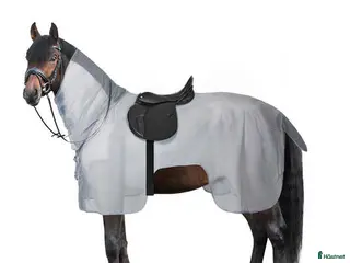 Täcken hästutrustning Nytt ridflugtäcke 145 cm i Hallsberg - Annons 11